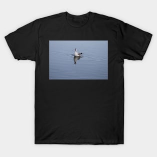 Gull on the water T-Shirt